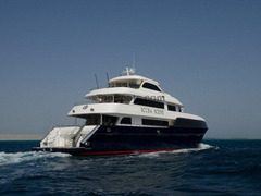 Scuba Scene Motor Yacht